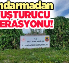 Erzurum’da jandarma ekipleri Pasinler ve Şenkaya’da uyuşturucu tacirlerine geçit vermedi.