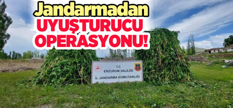 Erzurum’da jandarma ekipleri Pasinler ve Şenkaya’da uyuşturucu tacirlerine geçit vermedi.