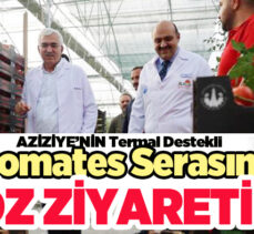 AK Parti Erzurum Milletvekili Mehmet Emin Öz,termal destekli domates serasını gezdi.  