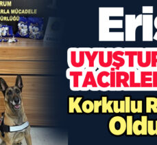 Erzurum Emniyeti’nin Narkotik Köpeği Eris yine uyuşturucu tacirlerinin kabusu oldu!!!…….
