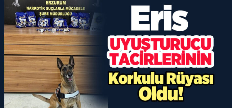 Erzurum Emniyeti’nin Narkotik Köpeği Eris yine uyuşturucu tacirlerinin kabusu oldu!!!…….