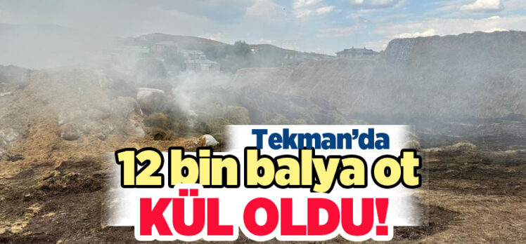 Erzurum’un Tekman İlçesi’nde öğle saatlerinde çıkan yangında 12 bin balya ot kül oldu.
