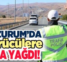 Erzurum Trafik Şube Ekipleri bir haftalık denetimlerde sürücülere 2 Milyon 960 bin TL ceza kesti.