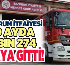 Erzurum itfaiyesi 2023 yılının ilk 10 ayında en çok ot ve açık arazi yangılarına müdahale etti.