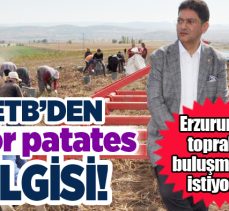 ETB Başkan Hakan Oral, çiftçilerle birlikte katma değeri yüksek olan mor patatesin hasadına katıldı.