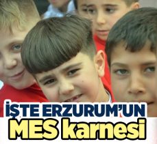 Erzurum’da bir bireyin Muhtemel eğitim süresi (MES) 2022 yılında 18,9 yıl olduğu açıklandı…