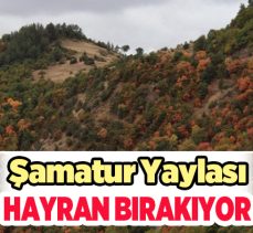 Şamatur’daki ağaçların rengarenk halleri ve ortaya çıkan sonbahar manzaraları adeta büyülüyor