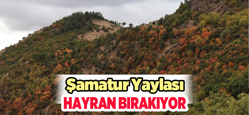 Şamatur’daki ağaçların rengarenk halleri ve ortaya çıkan sonbahar manzaraları adeta büyülüyor