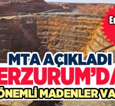 (MTA)’da Erzurum İli Maden ve Enerji Kaynakları” başlığında geniş bir değerlendirme yapıldı.