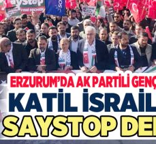 AK Parti Erzurum Gençlik kolları teşkilatınca SayStop eylemleri kapsamında gençlik yürüyüş gerçekleştirildi.