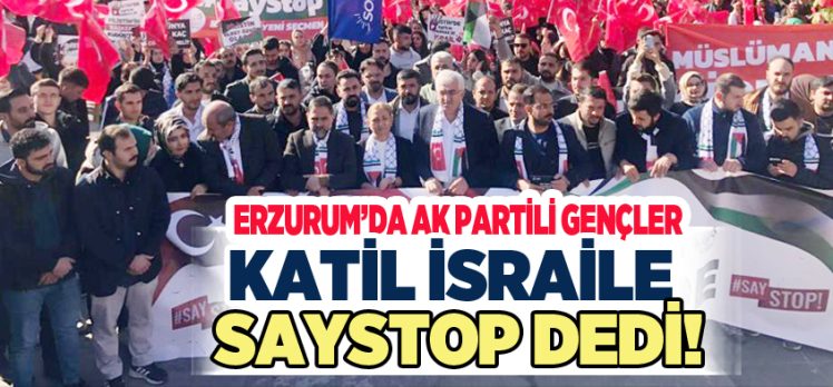 AK Parti Erzurum Gençlik kolları teşkilatınca SayStop eylemleri kapsamında gençlik yürüyüş gerçekleştirildi.