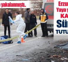 Erzurum Dadaşkent kavşağında yaya ya çarpıp ölümüne neden olan TIR şoförü, Bingöl’de yakalandı.