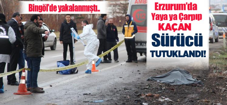 Erzurum Dadaşkent kavşağında yaya ya çarpıp ölümüne neden olan TIR şoförü, Bingöl’de yakalandı.