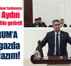 MHP Erzurum Milletvekili Aydın, Kamil Aydın TBMM’de Erzurum’un taleplerini sıraladı.