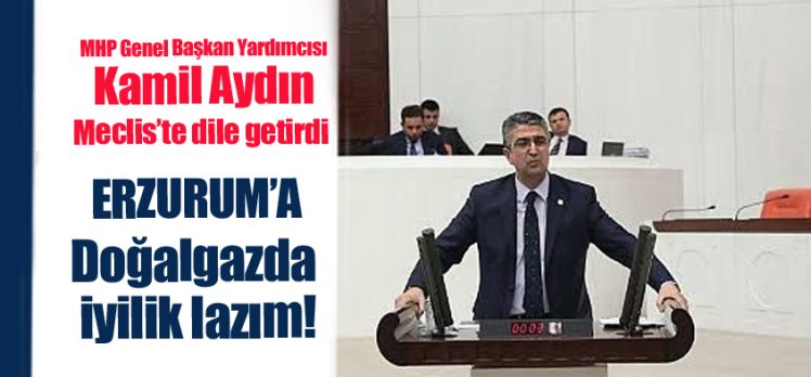 MHP Erzurum Milletvekili Aydın, Kamil Aydın TBMM’de Erzurum’un taleplerini sıraladı.