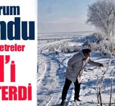 Termometrelerin-20’nin altına düştüğü Erzurum’da ağaçlar kırağından beyaza büründü.