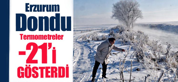 Termometrelerin-20’nin altına düştüğü Erzurum’da ağaçlar kırağından beyaza büründü.