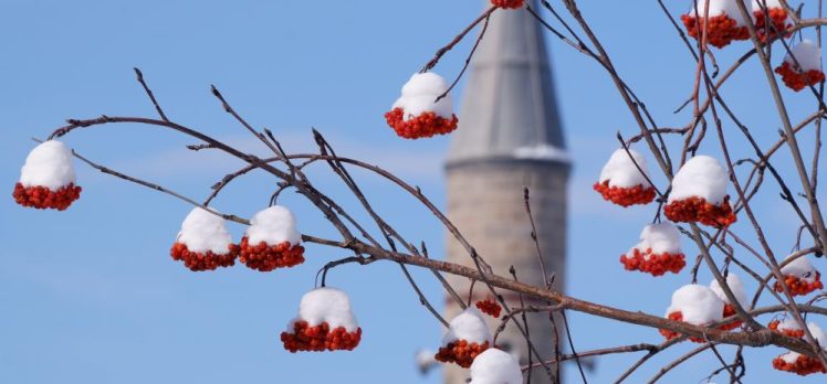 Meteoroloji tahminlerine göre Erzurum’da hafta sonuna kadar kar yağışlı bir hava bekleniyor.