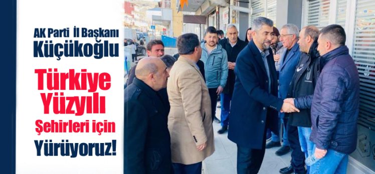 AK Parti İl Başkanı Küçükoğlu, seçim çalışmaları çerçevesinde Hınıs ve Tekman ilçelerini ziyaret etti.