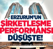 Erzurum’da kurulan şirket sayısı bir önceki yılın aynı ayına göre yüzde 12 oranında geriledi.