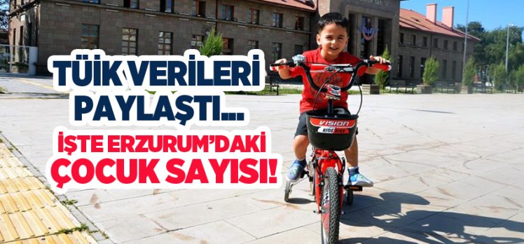 2023 verilerine göre; Erzurum’da 0-17 yaş arılığı olarak ifade edilen çocuk sayısı 215 bin 93 oldu.