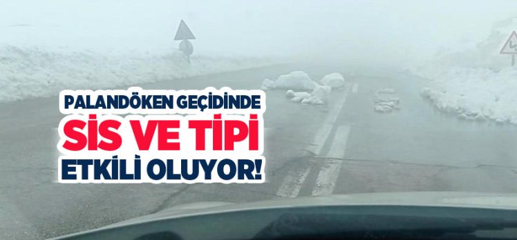 Erzurum’un Tekman ilçesi Palandöken geçidinde yoğun sis ve tipi sürücüleri zor durumda bıraktı.