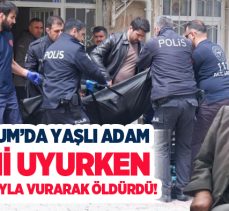 Erzurum’da Halil Çiğerli (73) isimli şahıs sabah saatlerinde evinde eşini tabanca ile vurarak öldürdü.