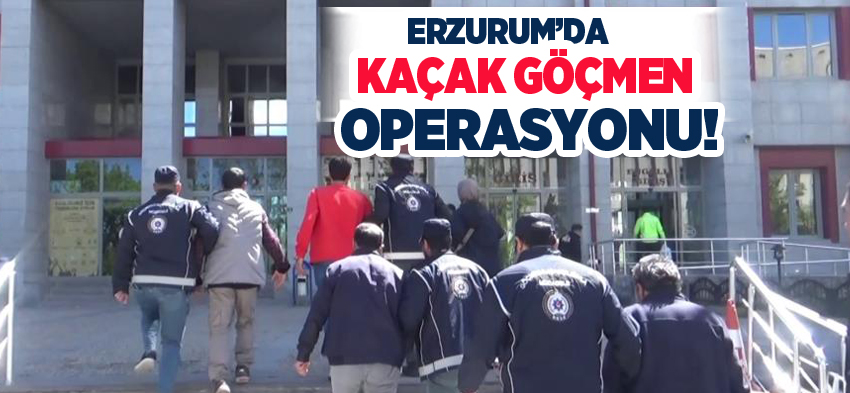 Erzurum Emniyet Müdürlüğü Göçmen Kaçakçılığıyla Mücadele ekiplerince operasyon düzenlendi.