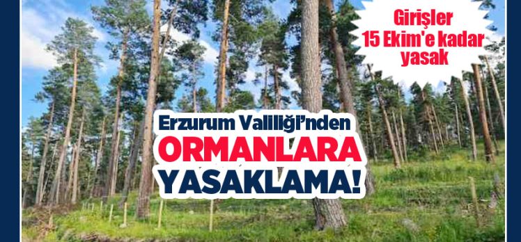 Erzurum Valiliği tarafından, Ormanlık alanlara girişlerin 15 Ekim’e kadar yasaklandığı duyuruldu!…