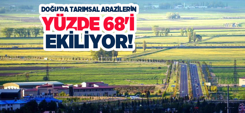 Doğu Anadolu Projesi bölgesinde tarımsal amaçlı kullanılan arazinin yüzde 68’inde ekim yapılıyor.