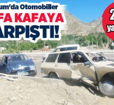 Erzurum’un Uzundere ilçesi çıkışında meydana gelen trafik kazasında 2 kişi yaralandı.