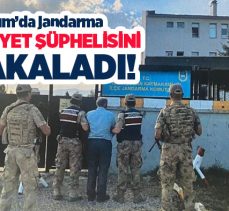 Erzurum’da jandarma ekipleri, 2 şahsın öldürülmesi olayının şüphelisi olan C.Y.’yi yakaladı.