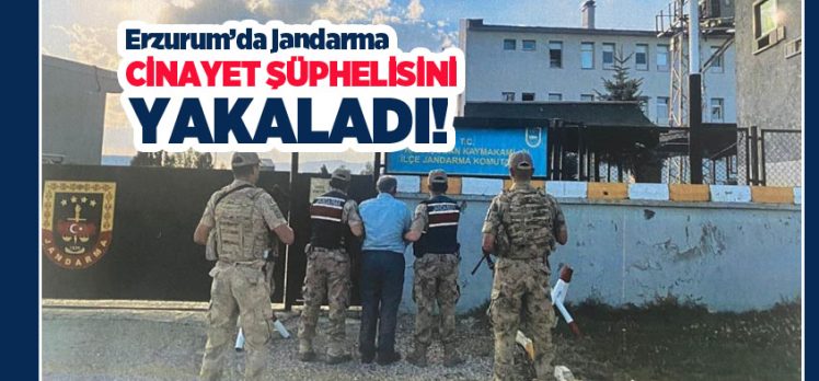 Erzurum’da jandarma ekipleri, 2 şahsın öldürülmesi olayının şüphelisi olan C.Y.’yi yakaladı.