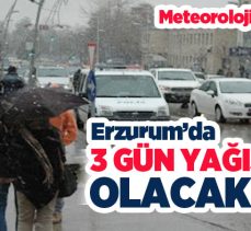 Meteoroloji 12. Bölge Müdürlüğü Erzurum ve çevresi için 3 gün boyunca kuvvetli yağış uyarısı yaptı.