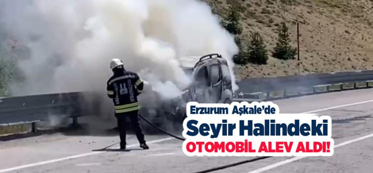 Erzurum’un Aşkale ilçesinde seyir halindeyken bir anda yanan hafif ticari araç küle döndü.