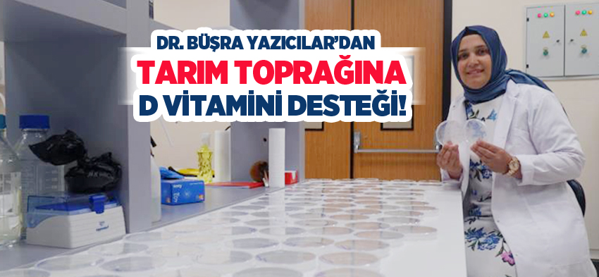 Dr. Büşra Yazıcılar, tuzlanarak verimini kaybeden toprakları geri kazanabilmek için bir proje geliştirdi.