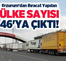 Erzurum’dan Temmuz ayında 23,Ocak-Temmuz ayları kapsamında  46 ülkeye ihracat gerçekleştirildi.