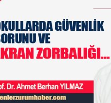 Prof. Dr. Ahmet Berhan Yılmaz Yazdı: “OKULLARDA GÜVENLİK SORUNU ve AKRAN ZORBALIĞI!…”