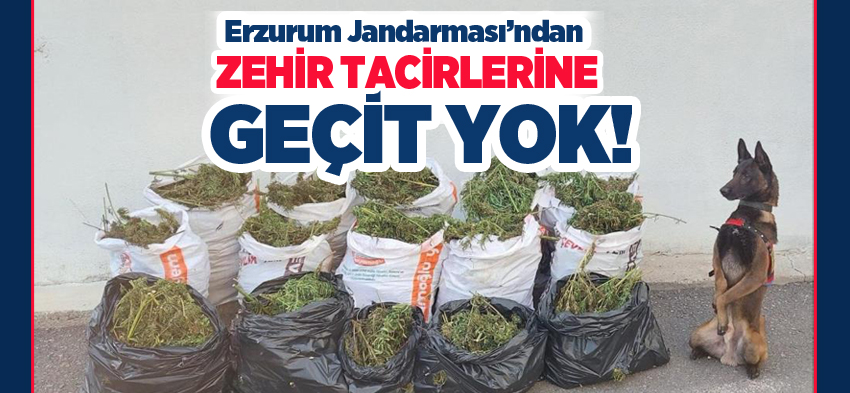 Erzurum’da uyuşturucu satıcılarına yönelik düzenlenen operasyonda 111 şahısa işlem yapıldı.