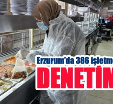 Erzurum’da yem, gıda malzeme üreten işletmelere yönelik denetimler devam ediyor!………