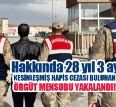 Jandarma, hakkında 28 yıl 3 ay kesinleşmiş hapis cezası bulunan bir örgüt mensubunu yakaladı.