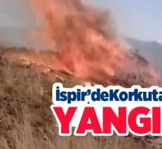Erzurum’un İspir ilçesi Karakale Mahallesi yakınlarındaki arazide çıkan bitki örtüsü yangını korkuttu.