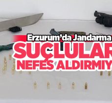 Jandarma operasyonda bir şahıs ile birlikte çok sayıda silah ve mühimmat ele geçirdi.
