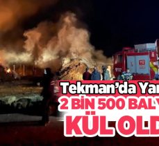 Erzurum’un Tekman ilçesi Çevirme Mahallesi’nde çıkan ot yangınında 2 bin 500 balya ot kül oldu!