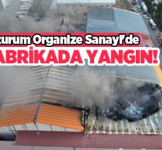 Erzurum’da Organize Sanayi Bölgesi’nde bulunan terlik hammaddesi fabrikasında yangın çıktı.