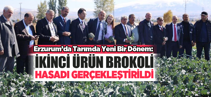 Erzurum’da tarımda yeni bir dönem: İkinci ürün Brokoli hasadı gerçekleştirildi!………………………………….