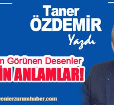 Eğitimci-Araştırmacı Yazar Taner Özdemir Yazdı : “Masum Görünen Desenler, Derin Anlamlar…”