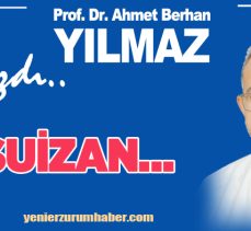 Prof. Dr. Ahmet Berhan Yılmaz; ” Suizan milleti, aileyi, dostlukları böler, parçalar, bitirir…”