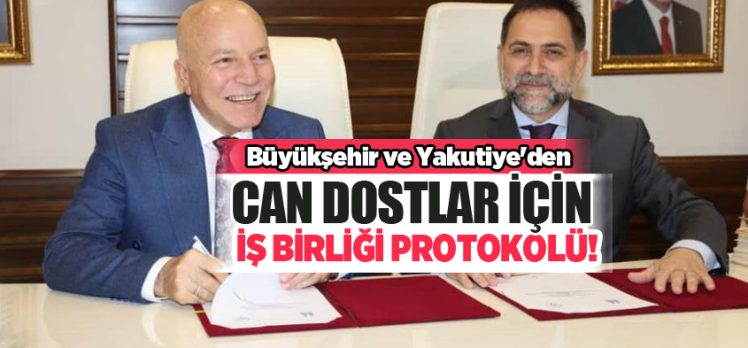 Büyükşehir ve Yakutiye’den, Hayvanları Koruma Kanunu kapsamında iş birliği protokolü imzalandı. Büyükşehir ve Yakutiye’den, Hayvanları Koruma Kanunu kapsamında iş birliği protokolü imzalandı.