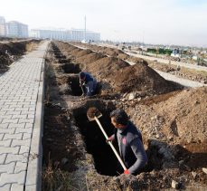 30 dereceye kadar düştüğü Erzurum’da yüzlerce mezar yeri kış için hazır edildi………………